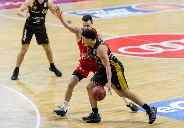 将这篇文章 将这篇文章